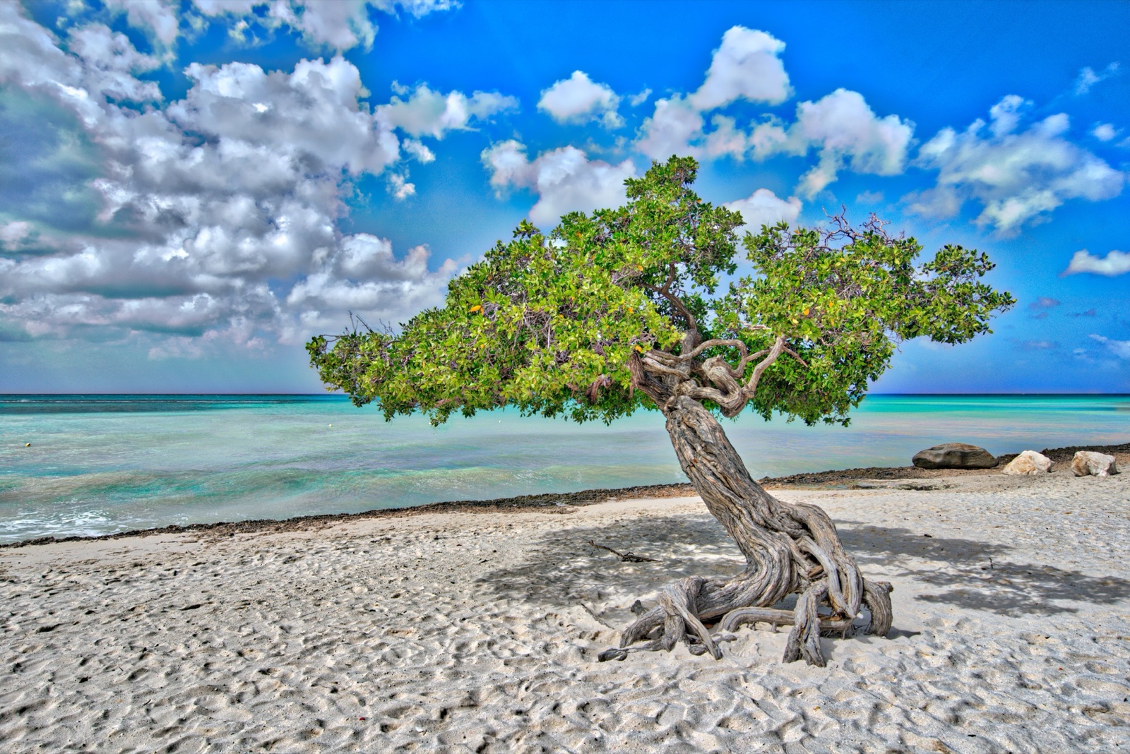 Reisfoto van Aruba