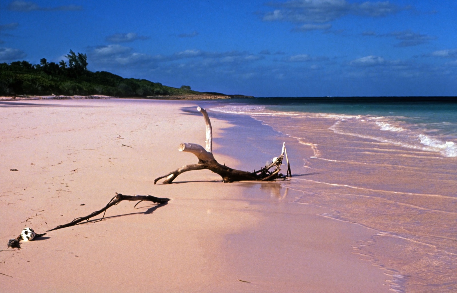 Reisfoto van Bahama’s