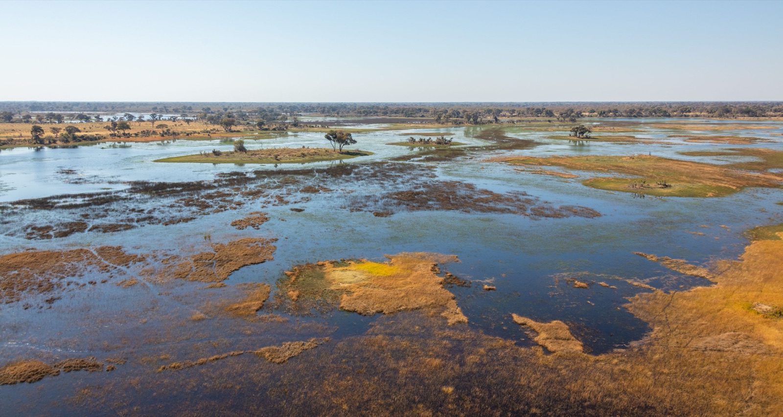 Reisfoto van Botswana