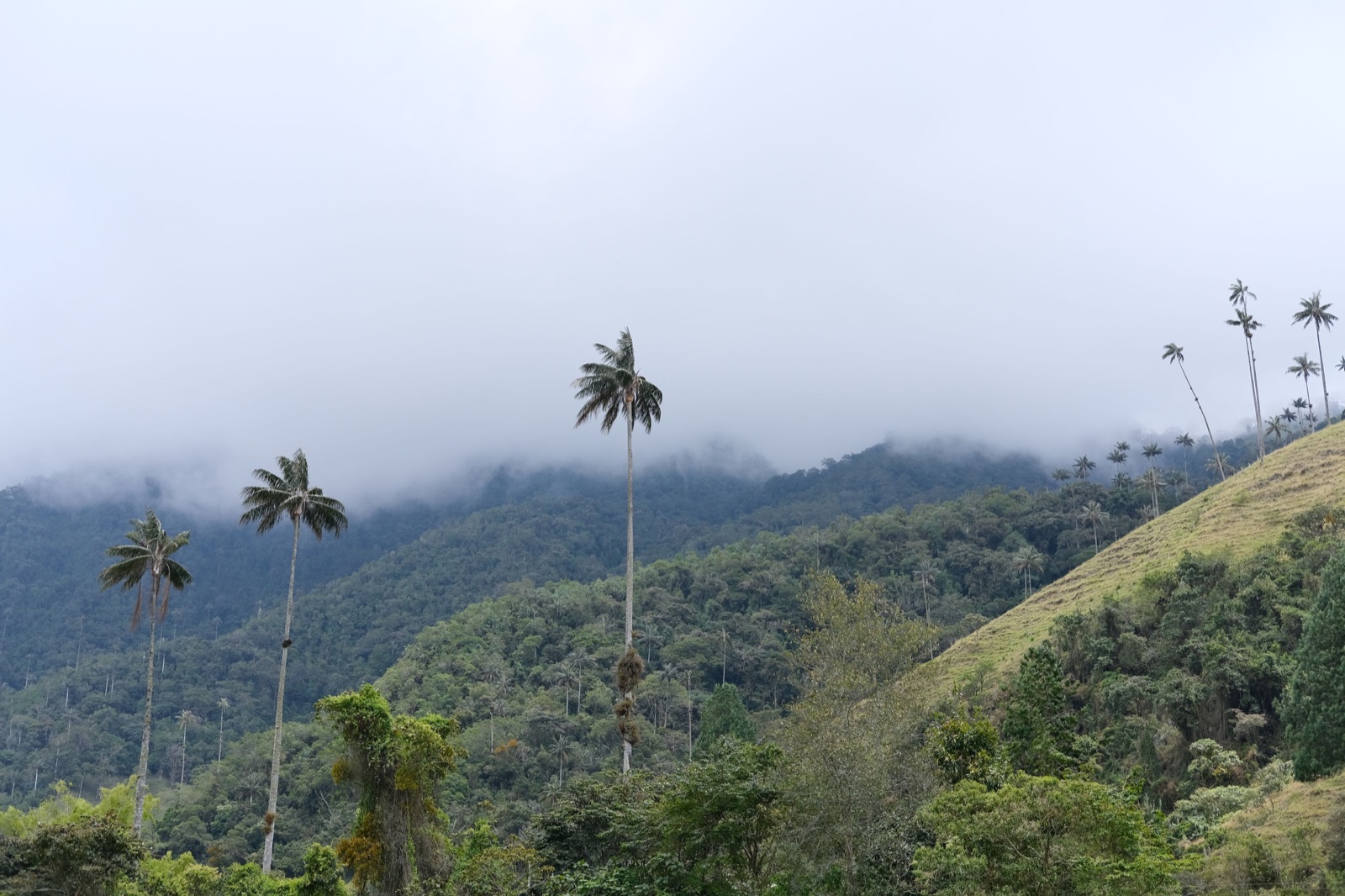 Reisfoto van Colombia