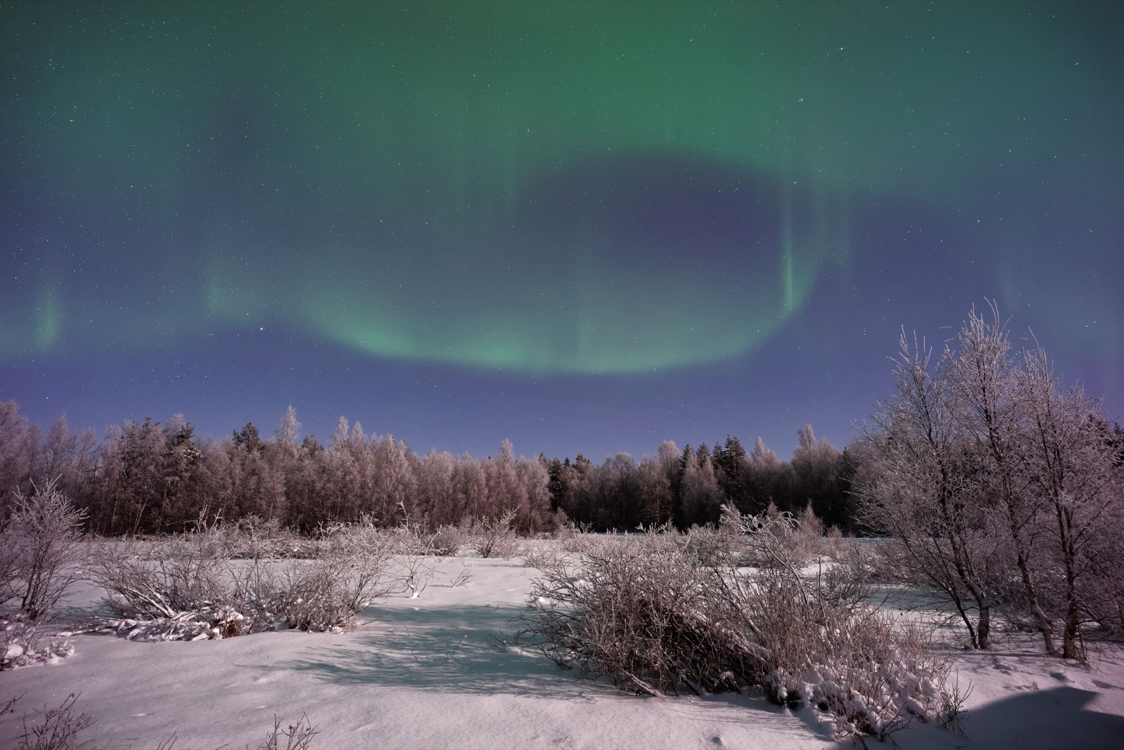 Reisfoto van Finland
