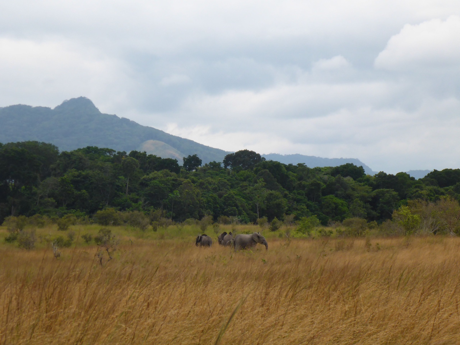 Reisfoto van Gabon