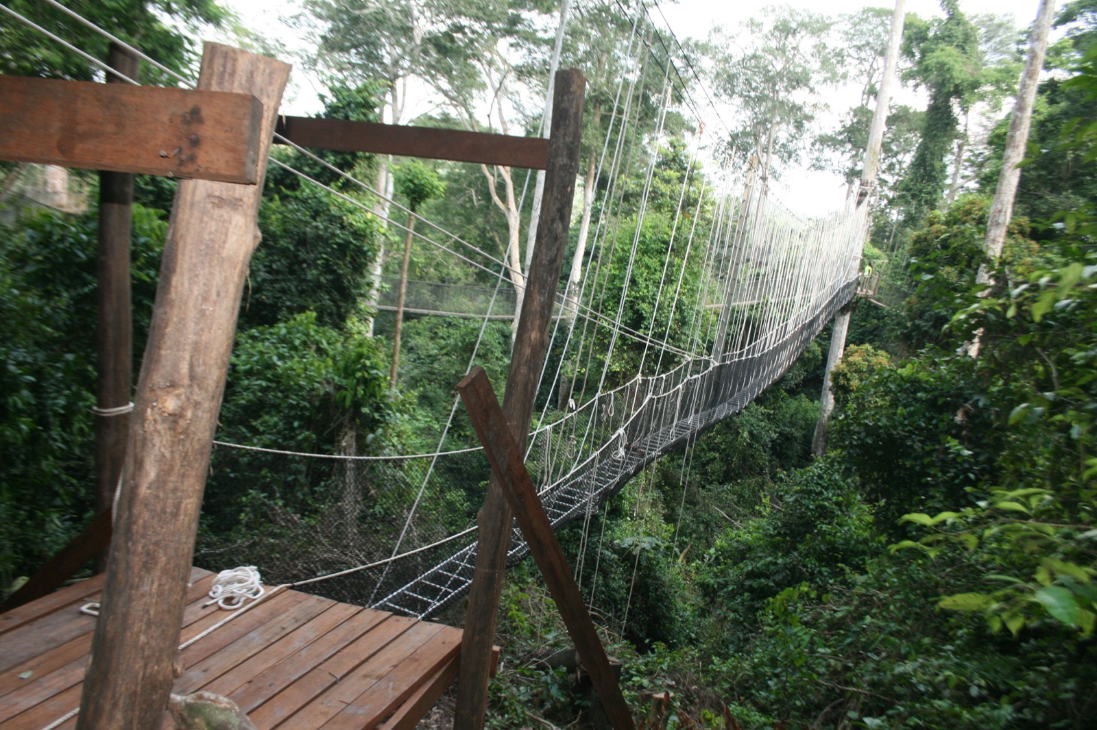 Reisfoto van Ghana