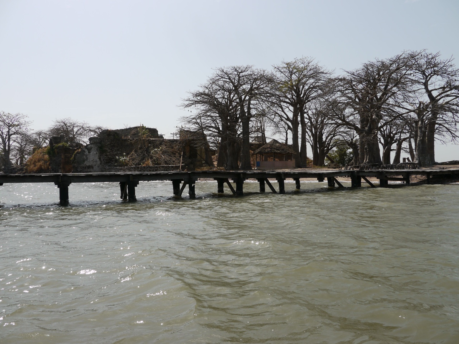 Reisfoto van Gambia