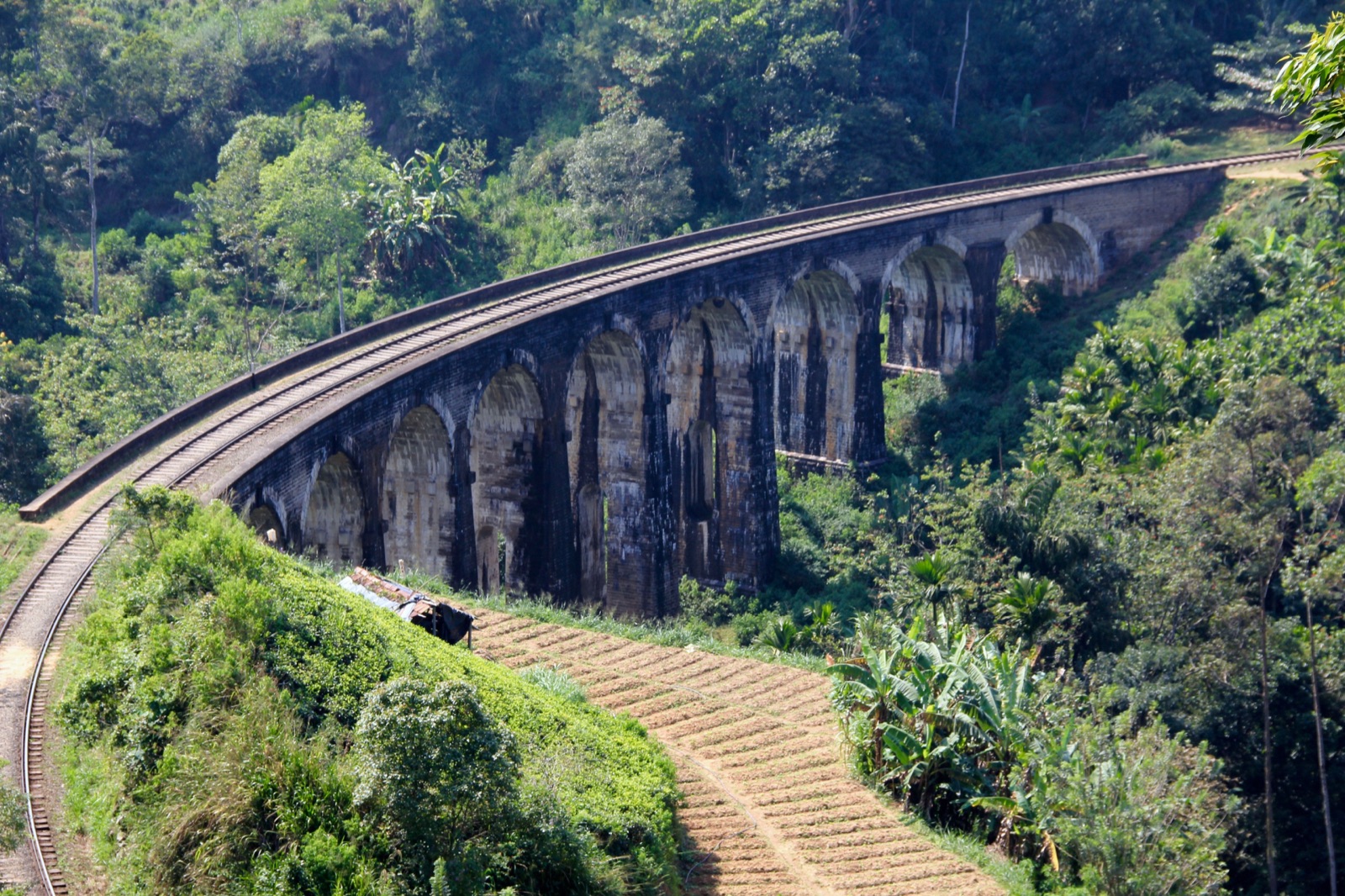 Reisfoto van Sri Lanka