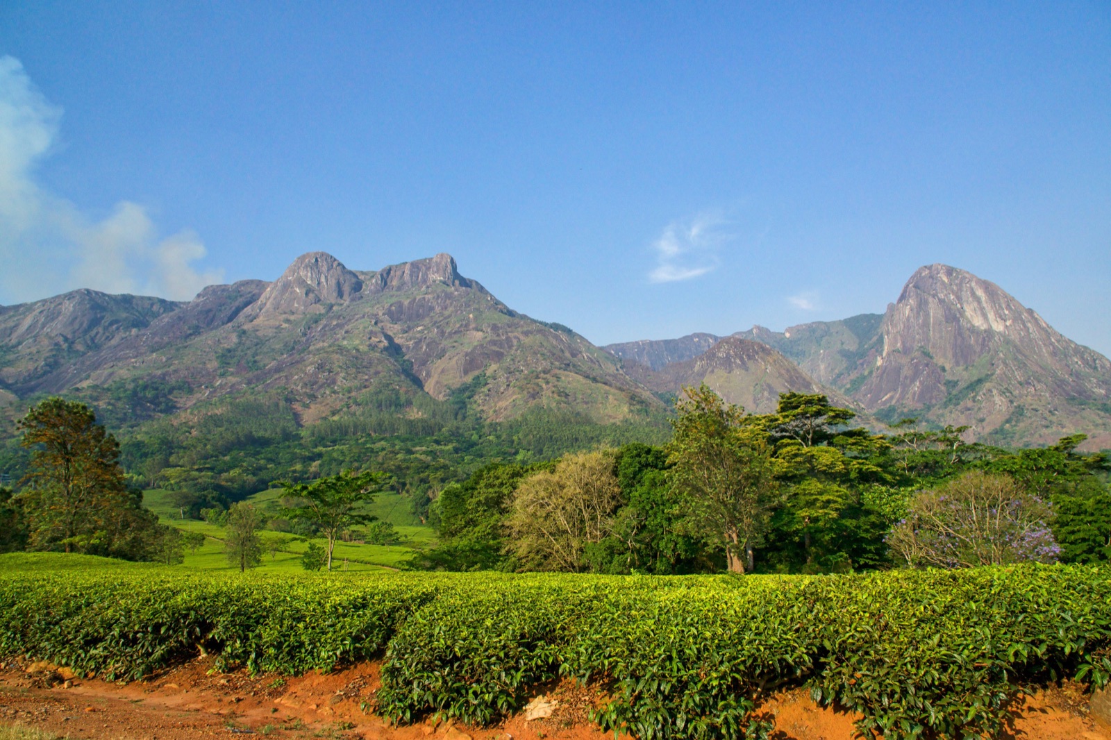 Reisfoto van Malawi