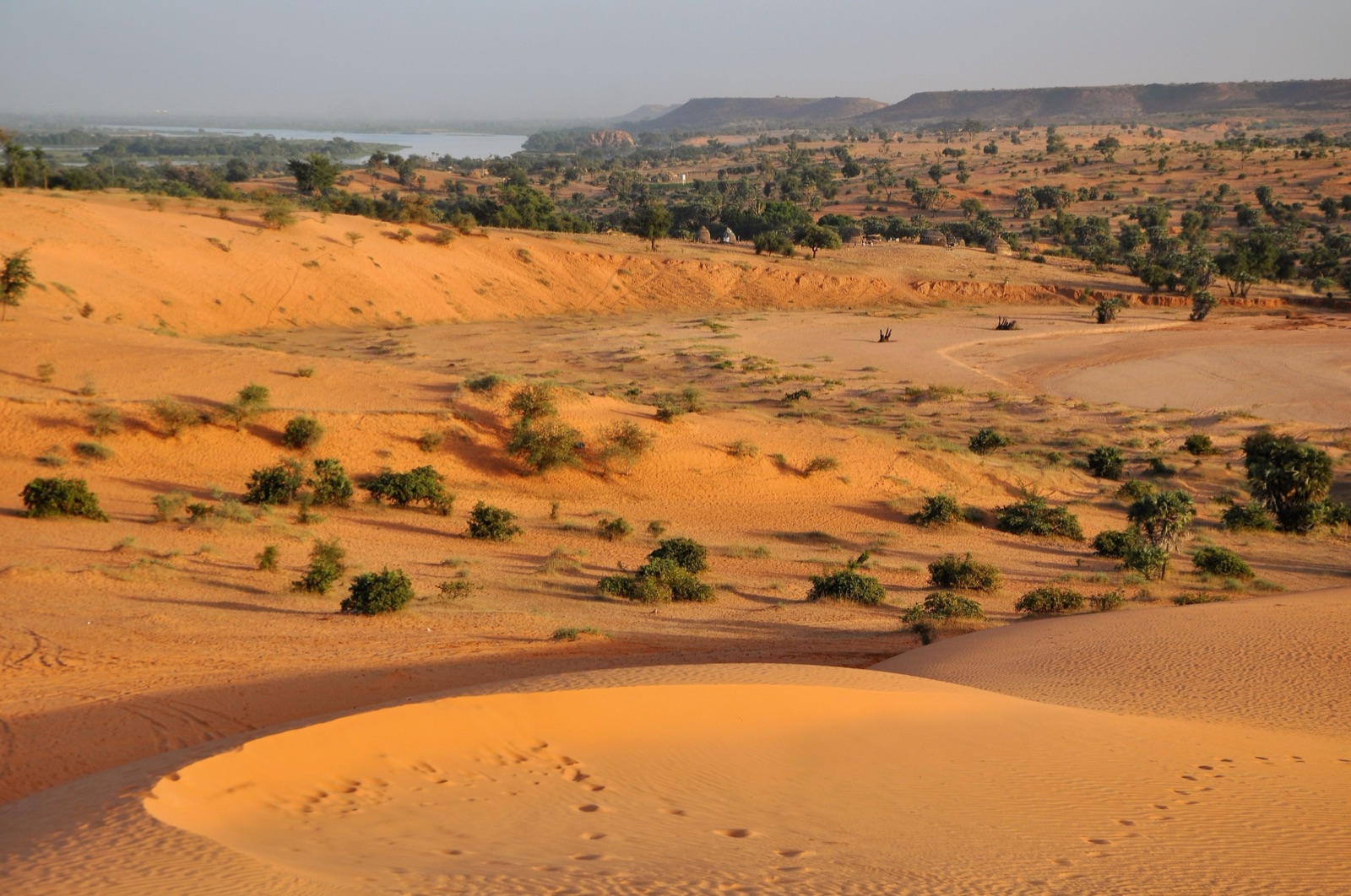 Reisfoto van Niger