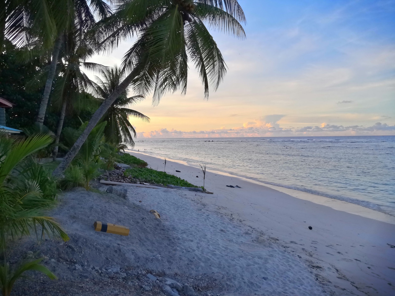 Reisfoto van Nauru