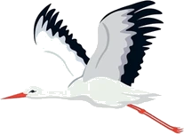 StorkSIM